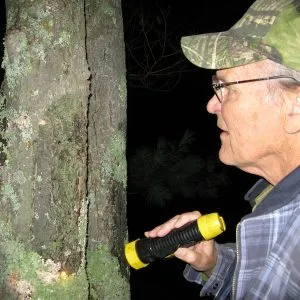 Man baiting for moths at night